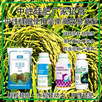 為峰廠家顆粒硅肥水稻硅肥用法用量,為峰肥業(yè)廠家招商