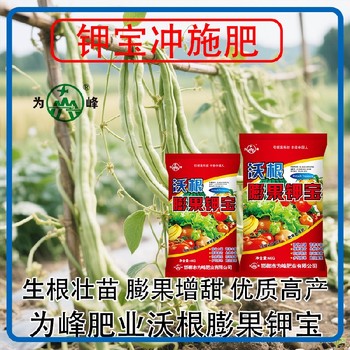 生根壯苗鉀寶水溶肥鉀寶定做包裝,為峰肥業鉀寶招商