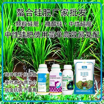 勁硅水劑硅肥水稻硅肥貼牌,為峰肥業(yè)廠家招商