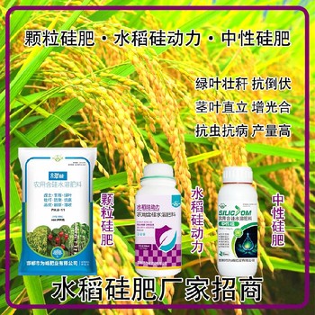 為峰廠家中性硅肥水稻硅肥功效,為峰肥業(yè)廠家招商