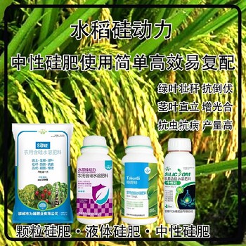 勁硅螯合硅肥水稻硅肥招商,生產(chǎn)廠家批發(fā)