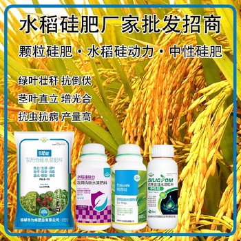 勁硅螯合硅肥水稻硅肥招商,生產(chǎn)廠家批發(fā)