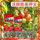 高鵬高鈣高鉀肥鉀寶圖