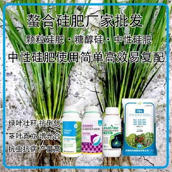 糖醇硅中性硅肥水稻硅肥,為峰肥業(yè)廠家招商