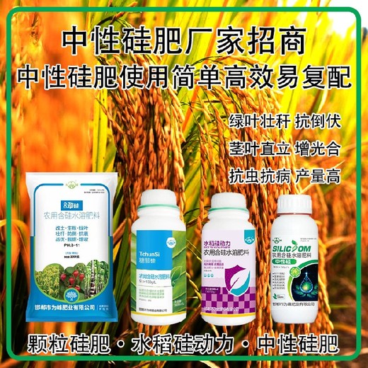 為峰肥業(yè)水劑硅肥水稻硅肥哪個(gè)廠家好,為峰肥業(yè)廠家招商