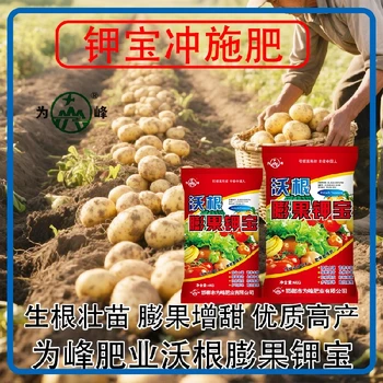 為峰肥業(yè)鉀寶水溶肥鉀寶功效,為峰肥業(yè)鉀寶招商