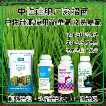 勁硅高純度水稻硅肥銷售經(jīng)理,生產(chǎn)廠家批發(fā)