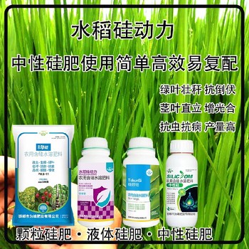 勁硅水劑硅肥水稻硅肥貼牌,為峰肥業(yè)廠家招商