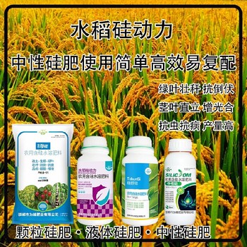 糖醇硅顆粒硅肥水稻硅肥哪里賣,為峰肥業(yè)廠家招商