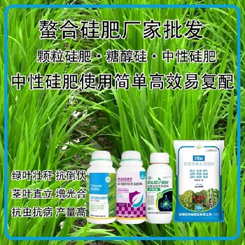 勁硅水劑硅肥水稻硅肥貼牌,為峰肥業(yè)廠家招商