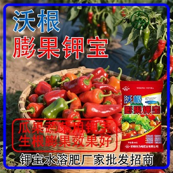 膨果肥美國鉀寶鉀寶什么時間用,為峰肥業(yè)鉀寶招商