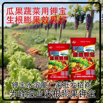 增甜著色鉀寶水溶肥鉀寶什么時間用,鉀寶廠家招商電話