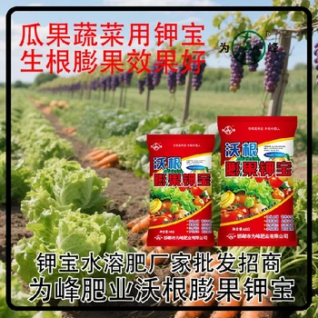 為峰肥業(yè)鉀寶水溶肥鉀寶功效,為峰肥業(yè)鉀寶招商