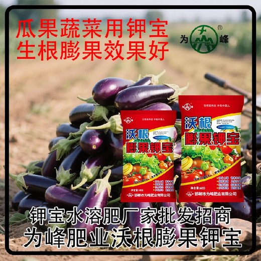 膨果防裂鉀寶水溶肥鉀寶哪個廠家好,鉀寶廠家招商電話