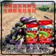 鉀寶效果圖