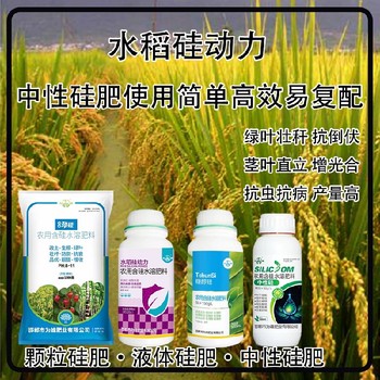 勁硅螯合硅肥水稻硅肥招商,生產(chǎn)廠家批發(fā)