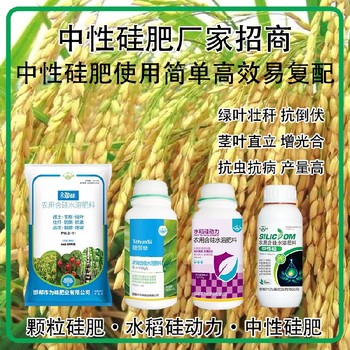中性硅中性硅肥水稻硅肥用法用量,為峰肥業(yè)廠家招商