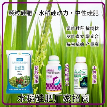 勁硅水劑硅肥水稻硅肥貼牌,為峰肥業(yè)廠家招商