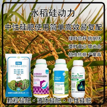 勁硅高純度水稻硅肥銷售經(jīng)理,生產(chǎn)廠家批發(fā)