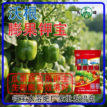 生根壯苗沃根膨果鉀寶鉀寶貼牌,鉀寶廠家招商電話