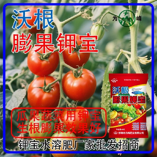 膨果肥膨果鉀寶鉀寶經(jīng)銷商,鉀寶廠家招商電話