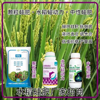 糖醇硅液體硅肥水稻硅肥功效,為峰肥業(yè)廠家招商