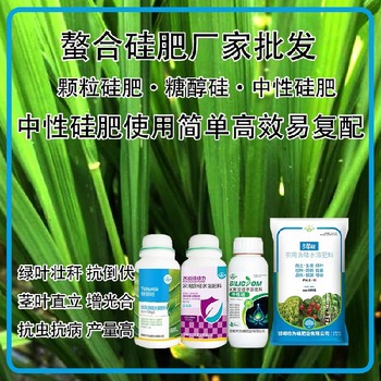 糖醇硅液體硅肥水稻硅肥貼牌加工,為峰肥業(yè)廠家招商