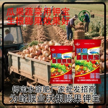 增甜著色鉀寶水溶肥鉀寶什么時間用,鉀寶廠家招商電話