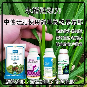 糖醇硅顆粒硅肥水稻硅肥經(jīng)銷商,為峰肥業(yè)廠家招商