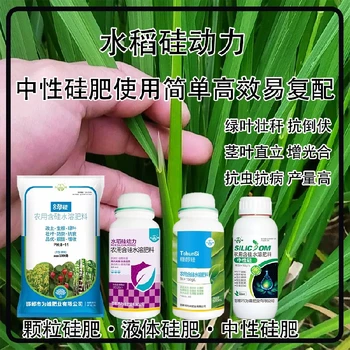 為峰廠家液體硅肥水稻硅肥貼牌,生產(chǎn)廠家批發(fā)