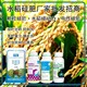 水稻硅肥用法用量圖