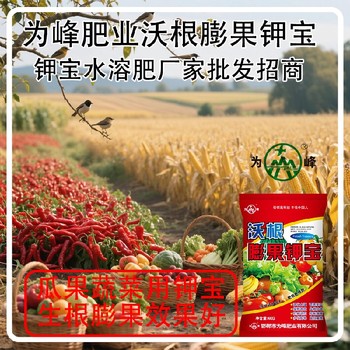 增甜著色沃根膨果鉀寶鉀寶用法用量,為峰肥業(yè)鉀寶招商