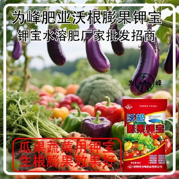 增甜著色膨果鉀寶鉀寶哪里賣,鉀寶廠家招商電話