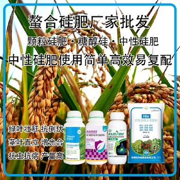 勁硅螯合硅肥水稻硅肥招商,生產(chǎn)廠家批發(fā)