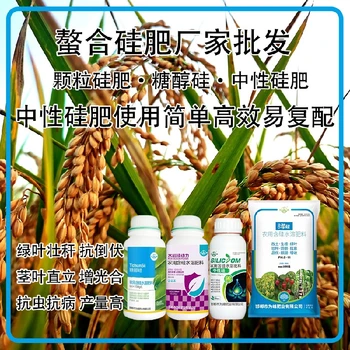 為峰肥業(yè)中性硅肥水稻硅肥經(jīng)銷商,為峰肥業(yè)廠家招商