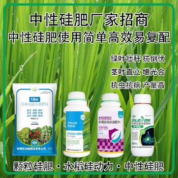 水稻硅動力水劑硅肥水稻硅肥經銷商,生產廠家批發