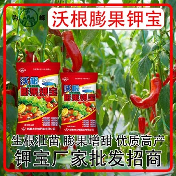 增甜著色鉀寶水溶肥鉀寶什么時間用,鉀寶廠家招商電話