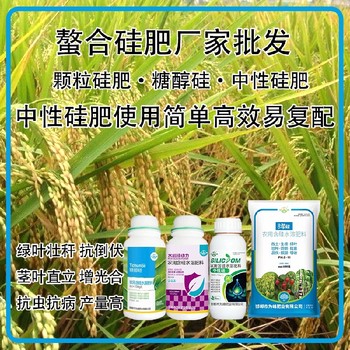 糖醇硅液體硅肥水稻硅肥貼牌加工,為峰肥業(yè)廠家招商