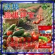 膨果肥沃根膨果鉀寶圖