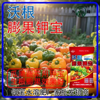 高鵬高鈣沃根膨果鉀寶鉀寶什么時間用,為峰肥業(yè)鉀寶招商