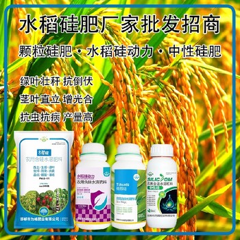 勁硅液體硅肥水稻硅肥定做,生產(chǎn)廠家批發(fā)