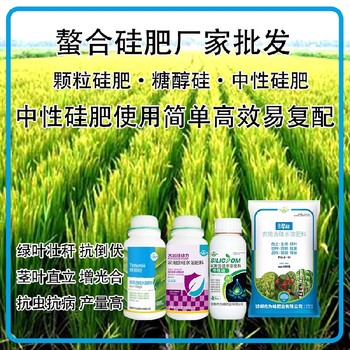 中性硅螯合硅肥水稻硅肥使用方法,為峰肥業(yè)廠家招商