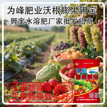 增甜著色膨果鉀寶鉀寶哪里賣,鉀寶廠家招商電話