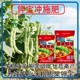 為峰廠(chǎng)家沃根膨果鉀寶鉀寶,鉀寶廠(chǎng)家招商電話(huà)產(chǎn)品圖