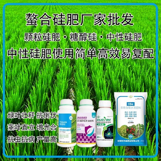 勁硅高純度水稻硅肥水溶肥,為峰肥業(yè)廠家招商