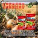 膨果肥沃根膨果鉀寶鉀寶什么時(shí)間用,鉀寶廠家招商電話產(chǎn)品圖