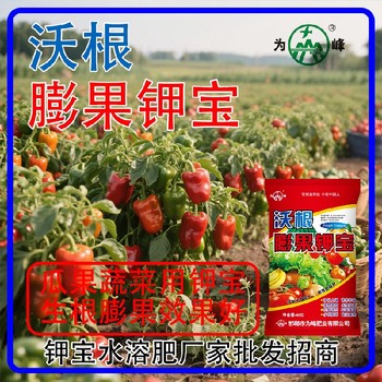 膨果肥沃根膨果鉀寶鉀寶招商,為峰肥業(yè)鉀寶招商
