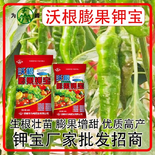 膨果防裂沃根膨果鉀寶鉀寶作用,鉀寶廠家招商電話