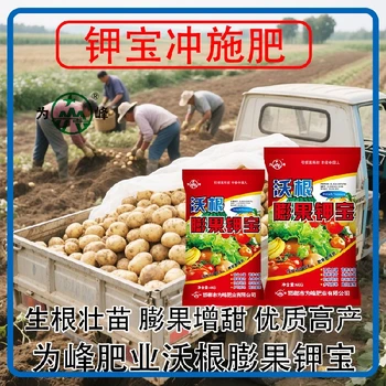 膨果防裂高鉀肥鉀寶什么牌子好,鉀寶廠家招商電話