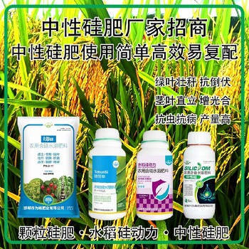 中性硅中性硅肥水稻硅肥水溶肥,為峰肥業(yè)廠家招商